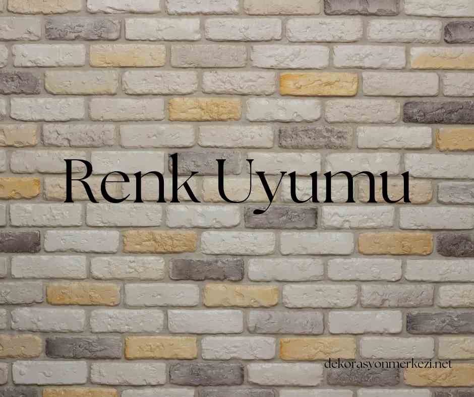 Renk Uyumu