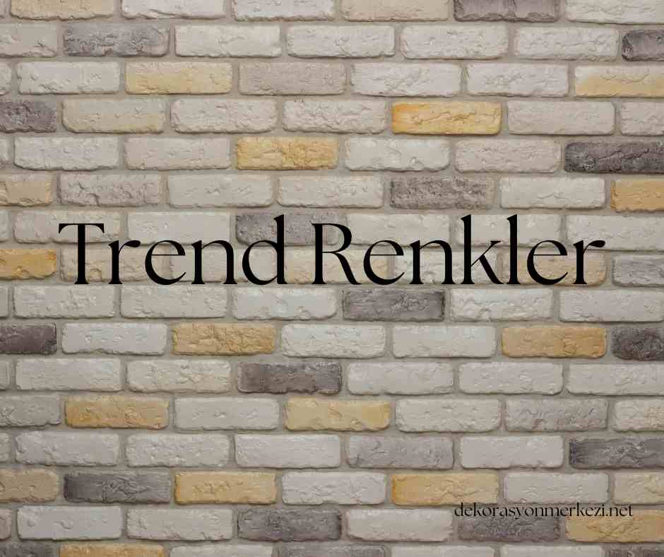 Trend Renkler